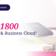 Save on Sage Accounting
